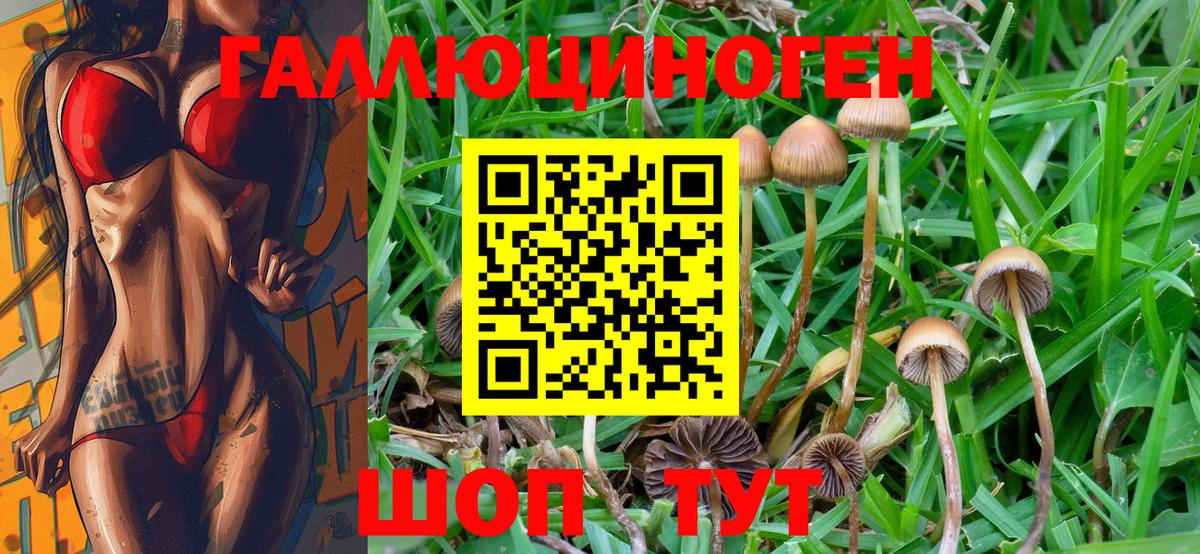 Псилоцибиновые грибы MAGIC MUSHROOMS  Вход с VPN  Курск 