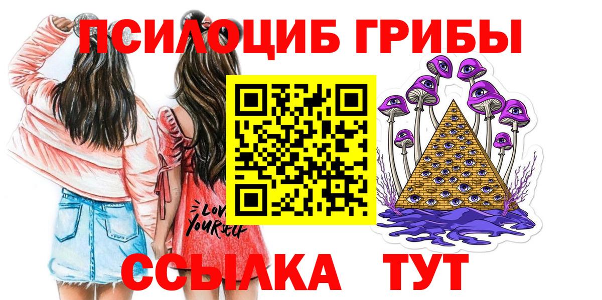 Галлюциногенные грибы мицелий Курск